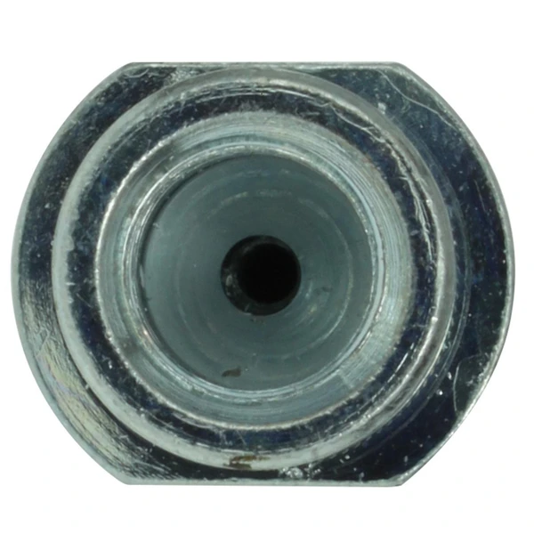 Brake Hydraulic Hose - Centric 150.50046