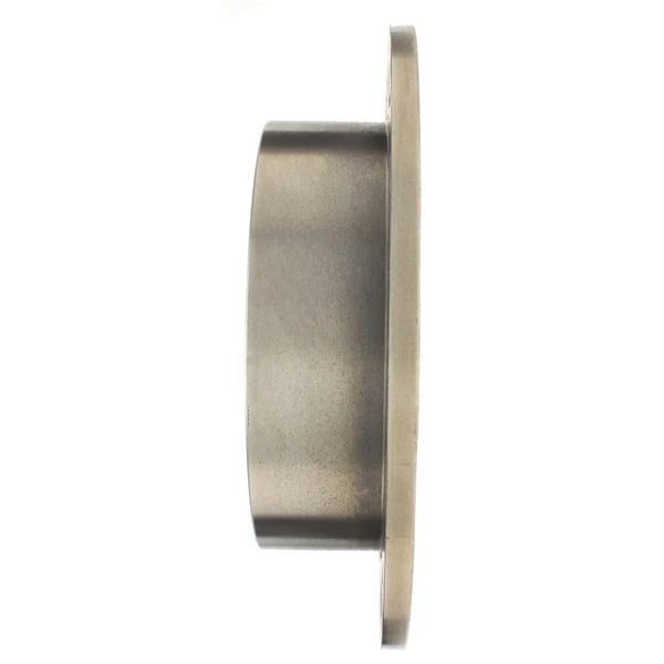 Centric 227.46047L Brake Rotor Rear Left