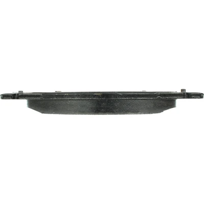 Disc Brake Pad Set - Rear Side - Centric 300.07021