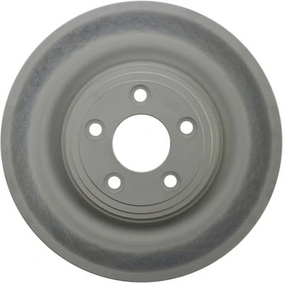 Disc Brake Rotor - Rear Side - Centric 320.20022H