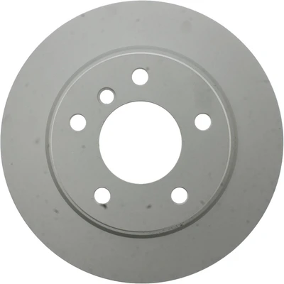 Disc Brake Rotor - Rear Side - Centric 320.34030F
