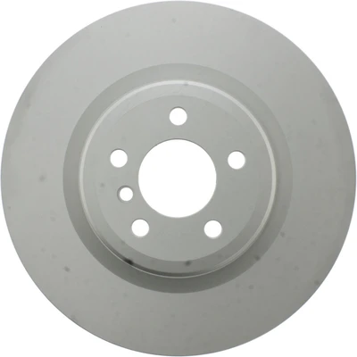 Disc Brake Rotor - Rear Side - Centric 320.34117H