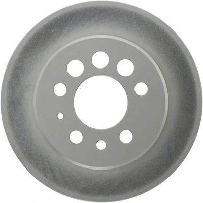 Disc Brake Rotor - Rear Side - Centric 320.39007F