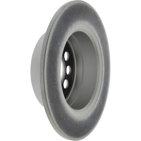 Centric 320.39007F Brake Rotor Rear