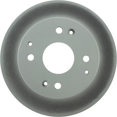 Disc Brake Rotor - Rear Side - Centric 320.40024F