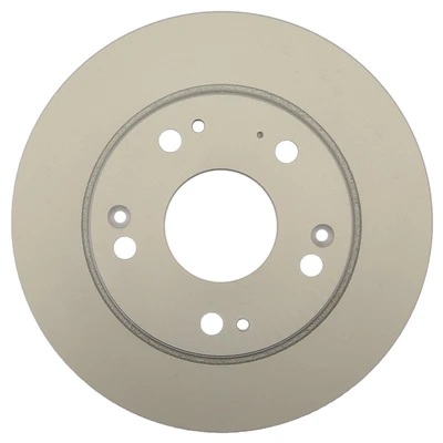 Disc Brake Rotor - Rear Side - Centric 320.40079F
