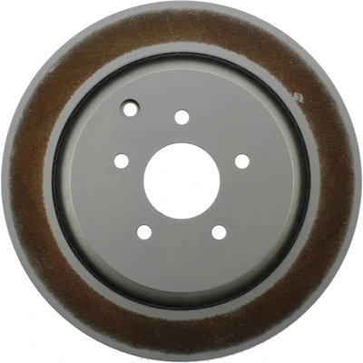Disc Brake Rotor - Rear Side - Centric 320.42105F