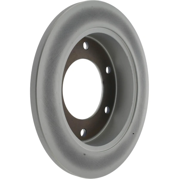 Centric 320.43004F Brake Rotor Rear