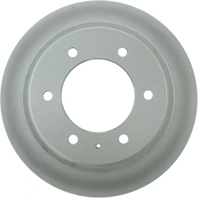 Disc Brake Rotor - Rear Side - Centric 320.43015F