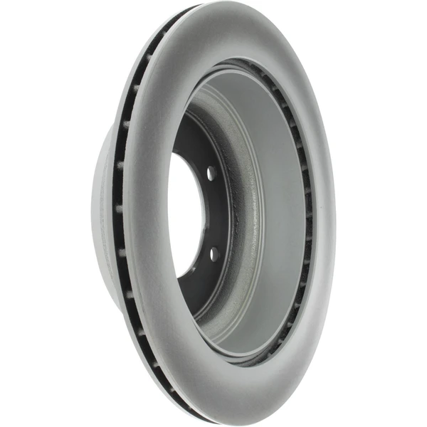 Centric 320.43015F Brake Rotor Rear