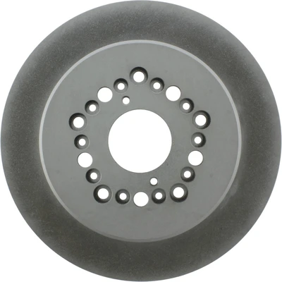 Disc Brake Rotor - Rear Side - Centric 320.44084F