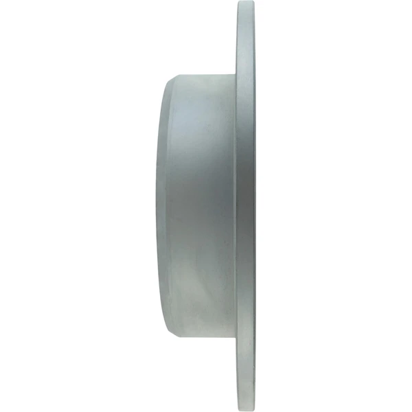 Centric 320.44090F Brake Rotor Rear