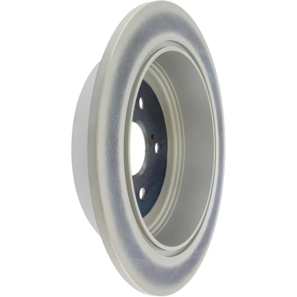 Centric 320.44166F Brake Rotor Rear