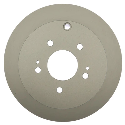 Disc Brake Rotor - Rear Side - Centric 320.46067F