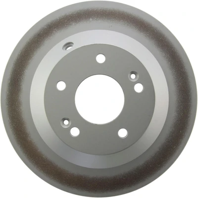 Disc Brake Rotor - Rear Side - Centric 320.50031F