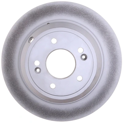 Disc Brake Rotor - Rear Side - Centric 320.51031F