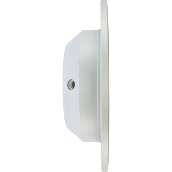 Centric 320.51039F Brake Rotor Rear