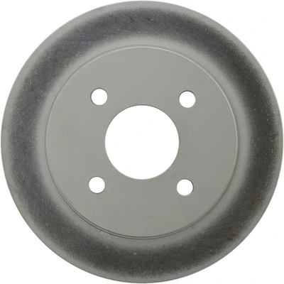 Disc Brake Rotor - Rear Side - Centric 320.61070F