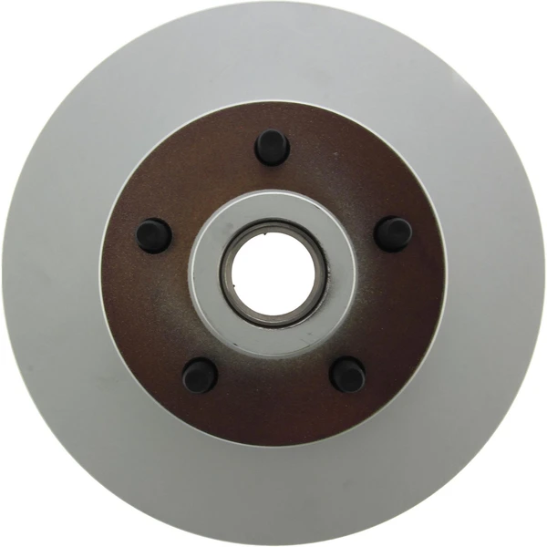 Centric 320.63010F Brake Rotor