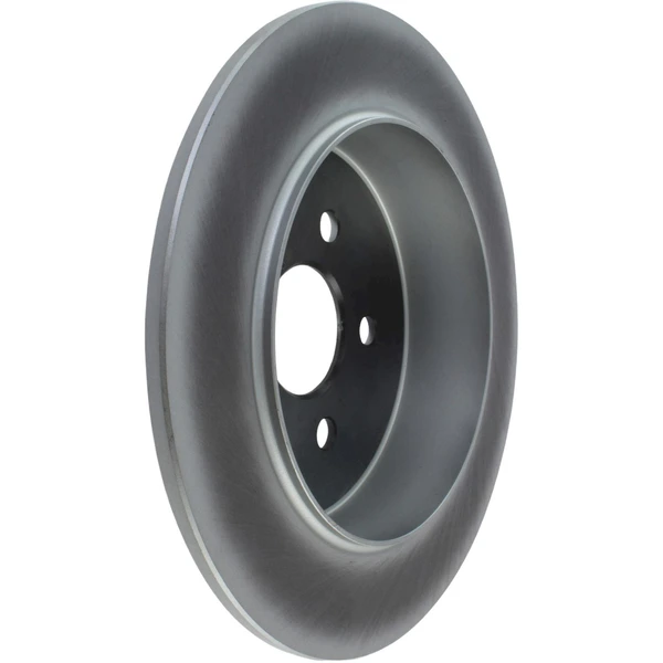 Centric 320.63043F Brake Rotor Rear Side