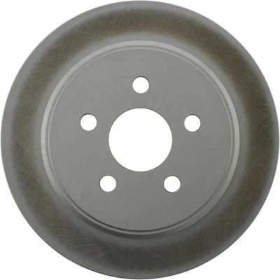 Disc Brake Rotor - Rear Side - Centric 320.63054F