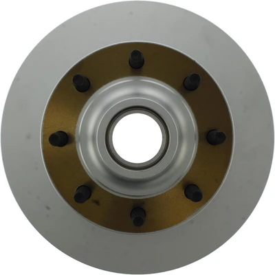 Disc Brake Rotor and Hub Assembly - Front Side - Centric 320.65045F