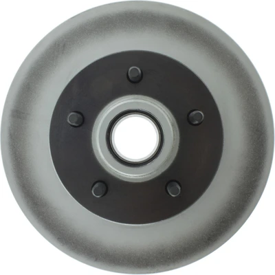 Disc Brake Rotor and Hub Assembly - Front Side - Centric 320.66000F