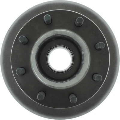 Disc Brake Rotor and Hub Assembly - Front Side - Centric 320.66001F