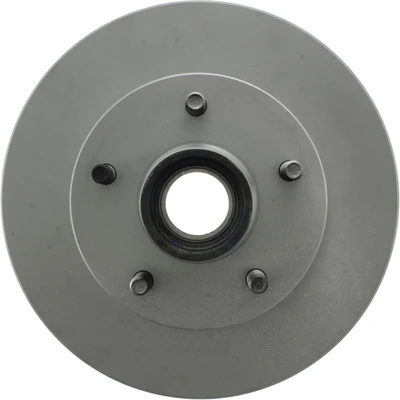 Disc Brake Rotor and Hub Assembly - Front Side - Centric 320.66017F