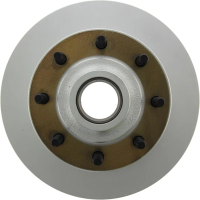 Disc Brake Rotor and Hub Assembly - Front Side - Centric 320.67030F