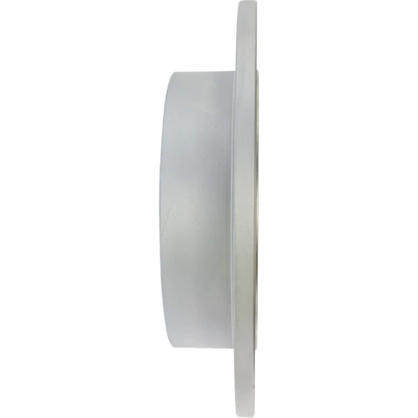 Centric 320.67063F Brake Rotor Rear