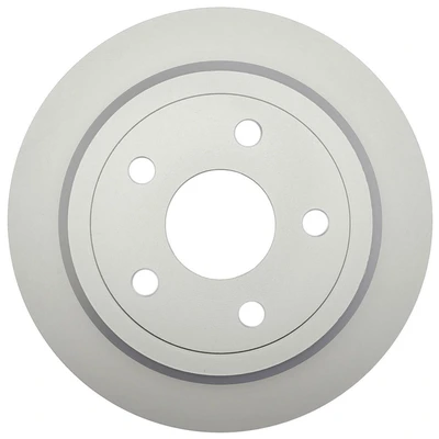 Disc Brake Rotor - Rear Side - Centric 320.67067F