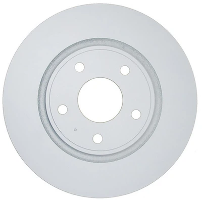 Disc Brake Rotor - Rear Side - Centric 320.67075F