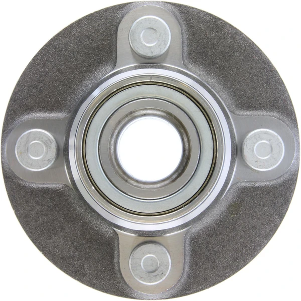 Wheel Bearing and Hub Assembly - Rear Side - Centric 405.42004E