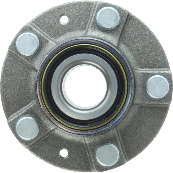Wheel Bearing and Hub Assembly - Rear Side - Centric 405.45001E