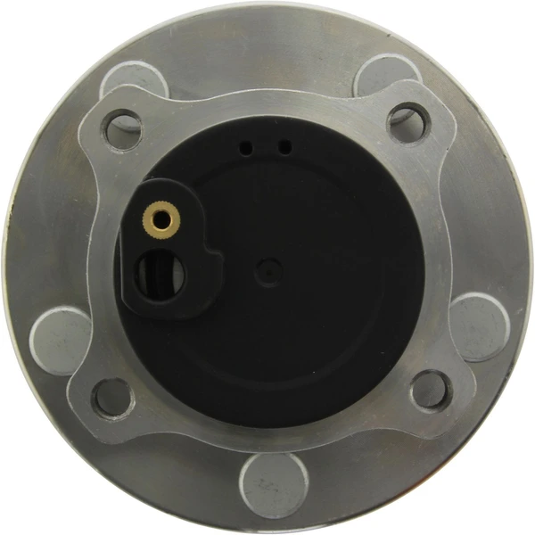 Wheel Bearing and Hub Assembly - Rear Side - Centric 407.45000E
