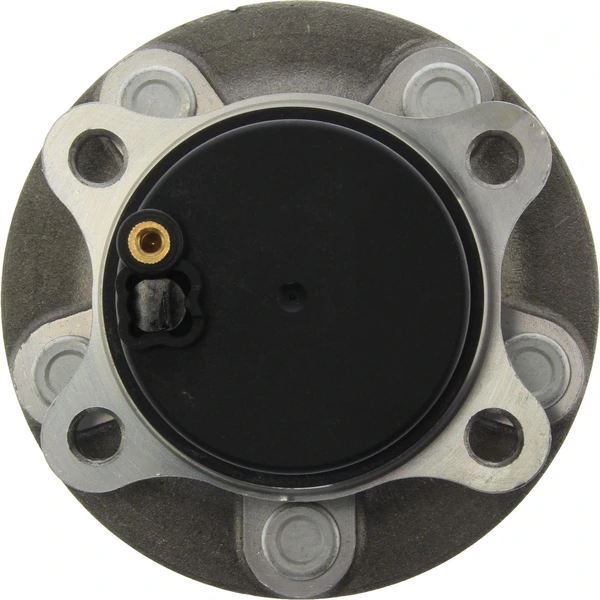 Wheel Bearing and Hub Assembly - Rear Side - Centric 407.61009E