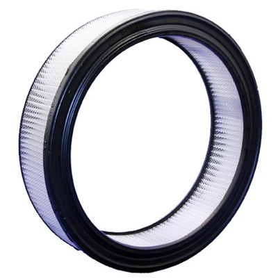 Engine Air Filter - Bosch 5451WS