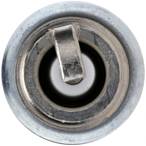 Bosch 8110 Spark Plug