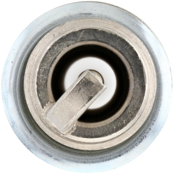 Bosch 9687 Spark Plug