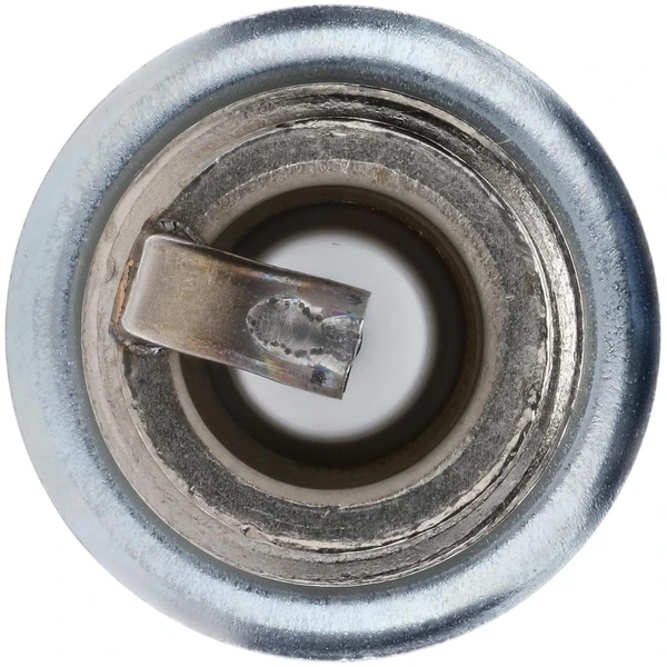 Bosch 9786 Spark Plug