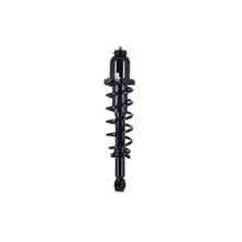 FCS Auto 1345378L Suspension Strut and Coil Spring Assembly, Rear Left Driver Side