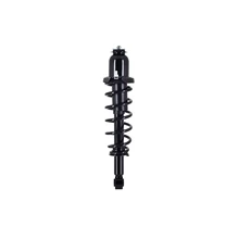 FCS Auto 1345378R Suspension Strut and Coil Spring Assembly, Rear Right Passenger Side
