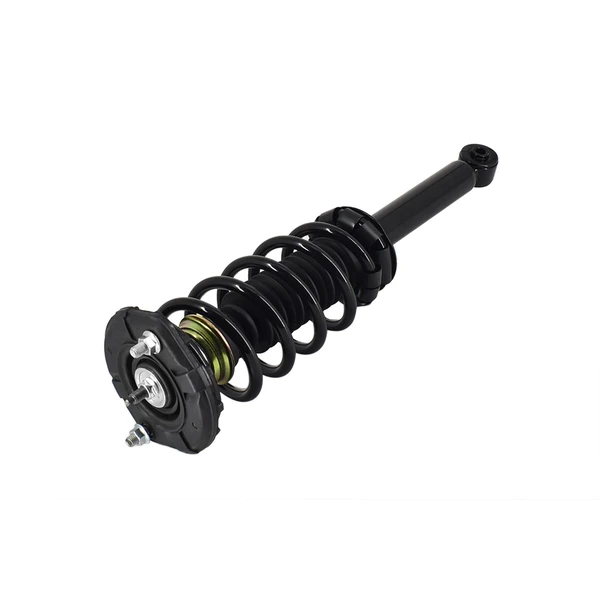 FCS Auto 1345395 Suspension Strut and Coil Spring Assembly, Rear Side
