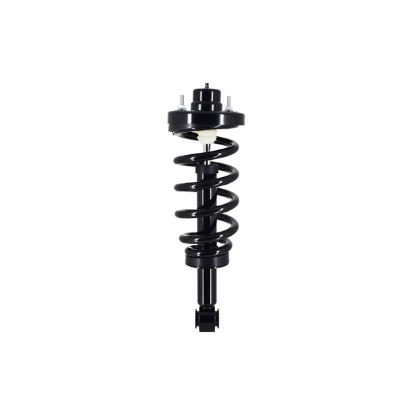 FCS Auto 1345561 Suspension Strut and Coil Spring Assembly, Rear Side