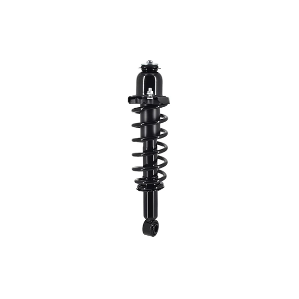 FCS Auto 1345742L Suspension Strut and Coil Spring Assembly, Rear Left Driver Side
