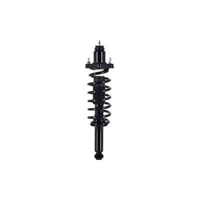 FCS Auto 1345750 Suspension Strut and Coil Spring Assembly, Rear Side