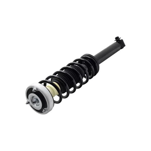 FCS Auto 1345842L Suspension Strut and Coil Spring Assembly, Rear Left Driver Side