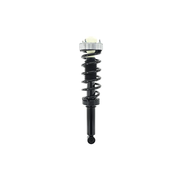 FCS Auto 1345956 Suspension Strut and Coil Spring Assembly, Rear Side