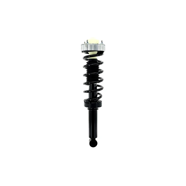 FCS Auto 1345965 Suspension Strut and Coil Spring Assembly, Rear Side